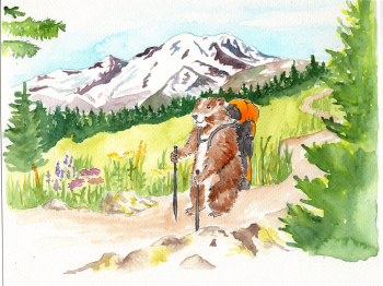 Commission: A marmot hiking the NW trails.