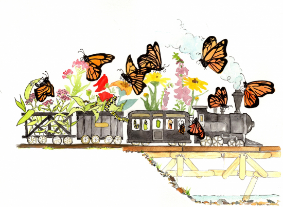 Butterfly Train from TRAIN'S SUMMER by Sarah Steinberg - Dummy available